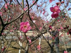 android_upload_pic-南通博物苑-崇川人民公园