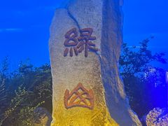 -富斯特索道