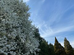 -半天妖烤鱼(方庄店)