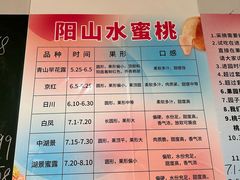 -老袁家蜜桃农场·阳山水蜜桃