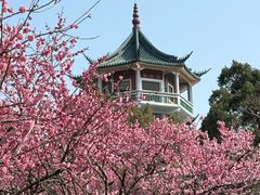-无锡梅园公园