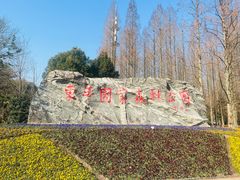 -东平国家森林公园