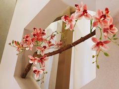 -野妹火锅(布吉店)