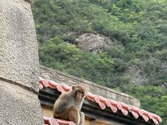 -白帝城·瞿塘峡景区