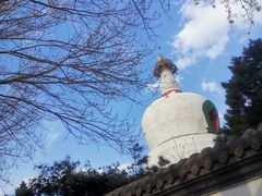 -西塔