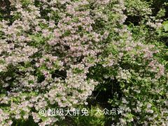 -济南植物园