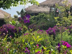 -优游吧斯邹族文化部落