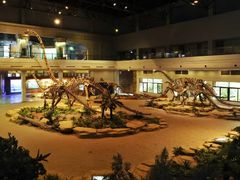 -自贡恐龙博物馆