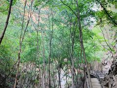 -十渡东湖港风景区