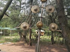 -北海金海湾红树林生态旅游区