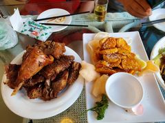 -大鹅岛绿色生态美食园