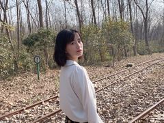 -合肥滨湖国家森林公园