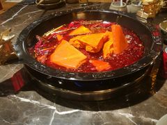 -蜀辣居鲜货老火锅(红牌楼店)