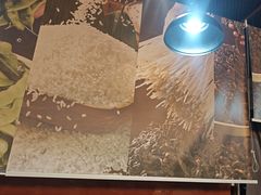 -金掌勺·锅包肉(双榆树店)