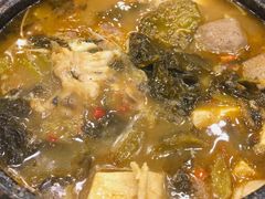 香辣鱼头煲-川香煲(茅台路店)