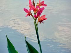 -海珠湖公园