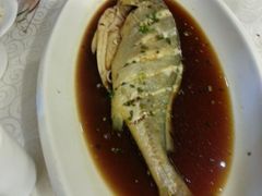 清蒸大黄鱼-金地利海鲜酒楼(清凉门店)
