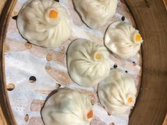 鲜肉小笼-苏小柳手工点心(人民广场分院)