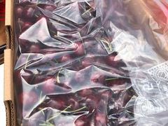 -双福水果批发市场