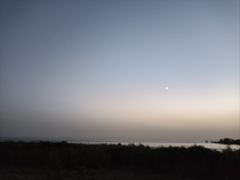 -合肥滨湖国家森林公园