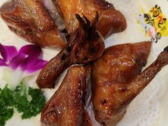 -鸽鸟轩(石岐店)