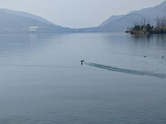 -西昌邛海湿地