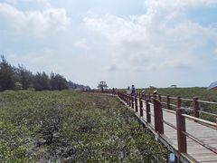 -北海金海湾红树林生态旅游区