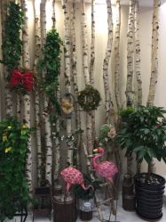 -新蝶变皮肤管理中心