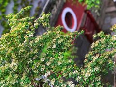 -妙峰山风景名胜区