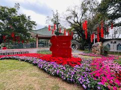 -荔湾湖公园