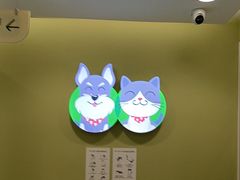 -悦宠动物医院(京丰分院)