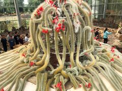 -南通洲际绿博园