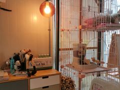 -灯塔咖啡馆BOOK·Coffee Shop