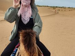 -银肯塔拉沙漠生态旅游景区