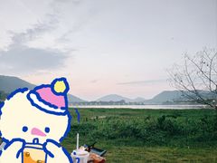 -风云岭森林公园