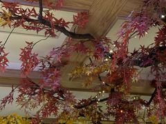 -悠然湯·汗蒸汤泉会馆