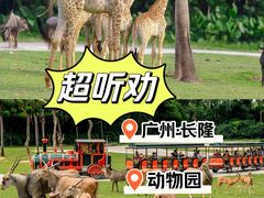 -广州长隆野生动物世界