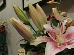 -蜗牛小馆醉乡民谣云南菜(惠新西里店)