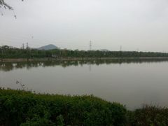 android_upload_pic-羊山湖公园