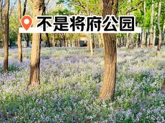 -枫花园汽车电影院(朝阳公园店)