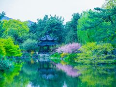 -西湖外事游船(花港观鱼码头)