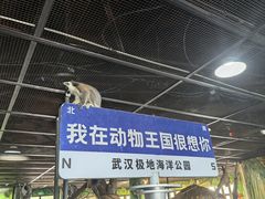 -海合安武汉极地海洋公园