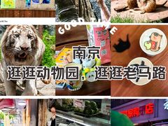 -红山森林动物园