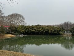 -河南省黄河迎宾馆