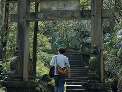 -凤栖山