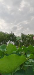 -剑鱼皮划艇俱乐部(石湖基地)