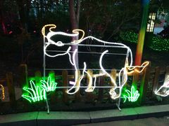 -哈尔滨文化公园