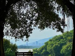 -福建鲤鱼洲酒店