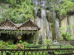 -西双版纳原始森林公园