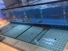 -冀粤香海鲜自助餐厅(西美五洲店)